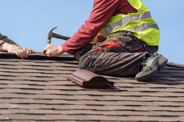 Best Roof Maintenance Services  in Wilmington Island, GA