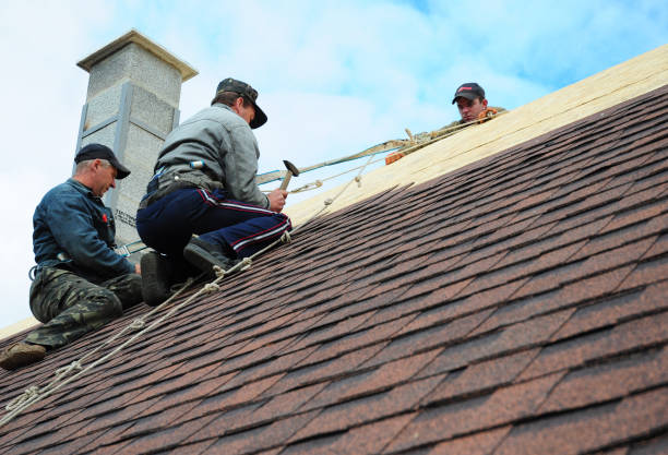 Best Roof Gutter Cleaning  in Wilmington Island, GA
